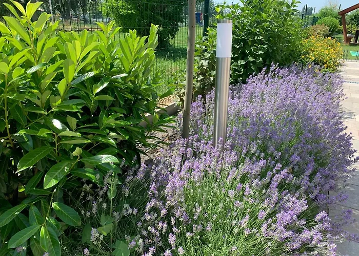 - Golden Bridge Balatonboglár